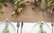 Brown Table Runner Boho Burlap Coffee with Tassels (Brown) 12" x 72"